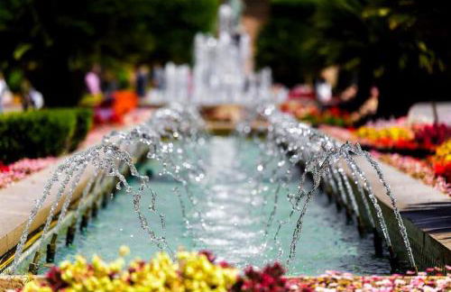 Catedral Plaza - Foto 4