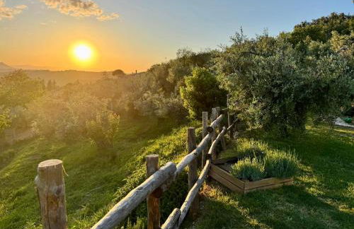 Agriturismo La Terrazza su Farfa - Foto 24