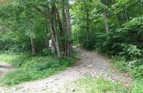 Mountain Retreat - Photo 50