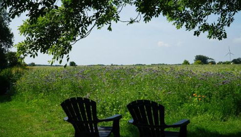 Landhaus Gonnsen - Foto 2, Garden