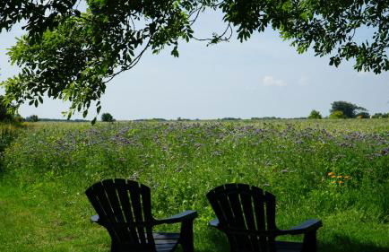 Landhaus Gonnsen - Foto 2