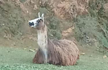 Vivienda Rural La Mazuga - Foto 64