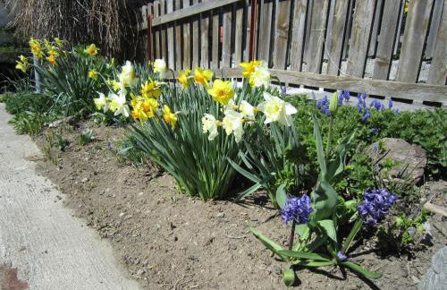 Aparthotel Garni Haus Hubertus - Foto 27