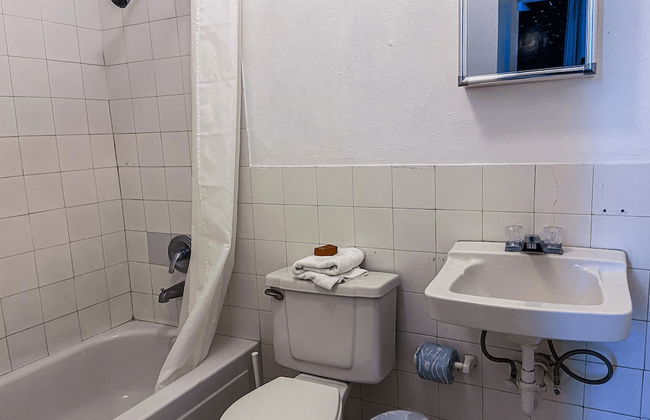 Gladiolas 2201 - Foto 9