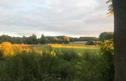 RAJSKIE SIEDLISKO Podlasie - Photo 27