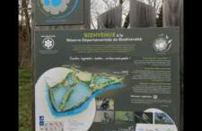 Chez Anne " WI -FI " - Foto 25