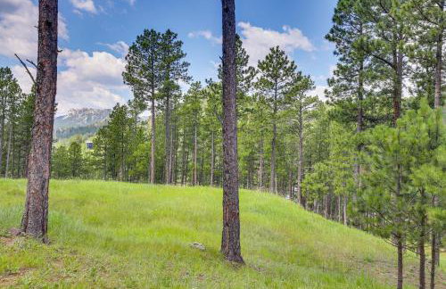 Keystone Escape with Amazing Mt Rushmore View! - Foto 30