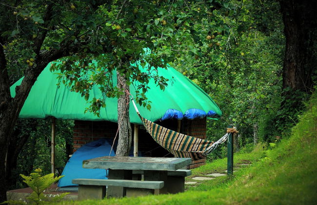 The Pear County - Foto 9