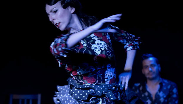 Espectáculo en el tablao flamenco Las Tablas - Foto 4, Emoción en estado puro