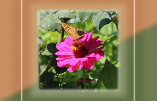 Ikaria Utopia - Cusco Studios - Photo 58