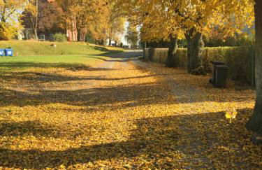 Peeneurlaub - Foto 48