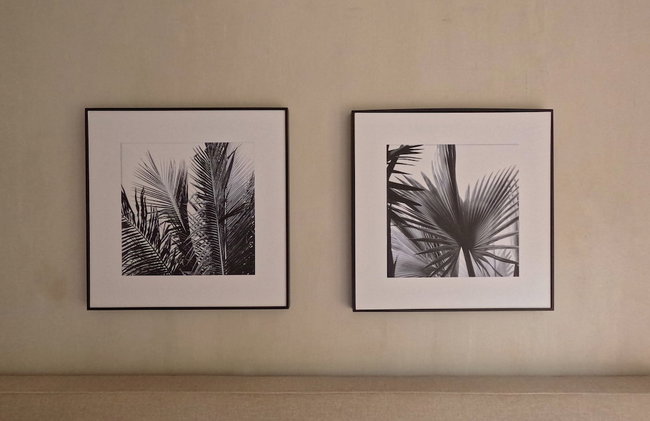 Casa Los Curazaos - Foto 21