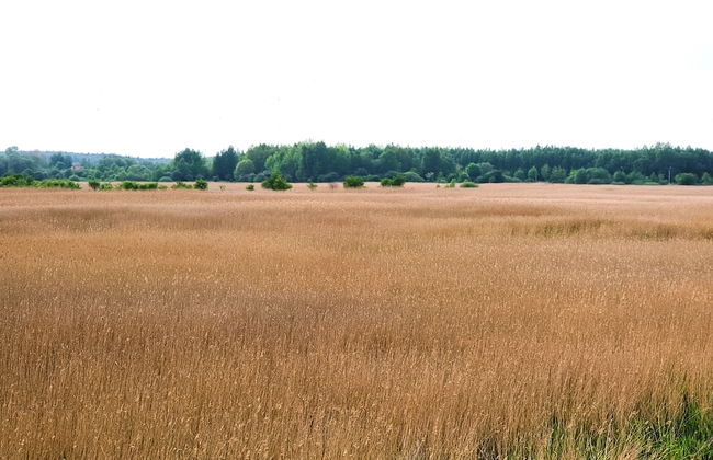 Westin Koralowa 15 Kołobrzeg - 365PAM - Foto 49