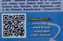 APARTAMENTY & DOMKI Chełmsko Śląskie - Foto 19