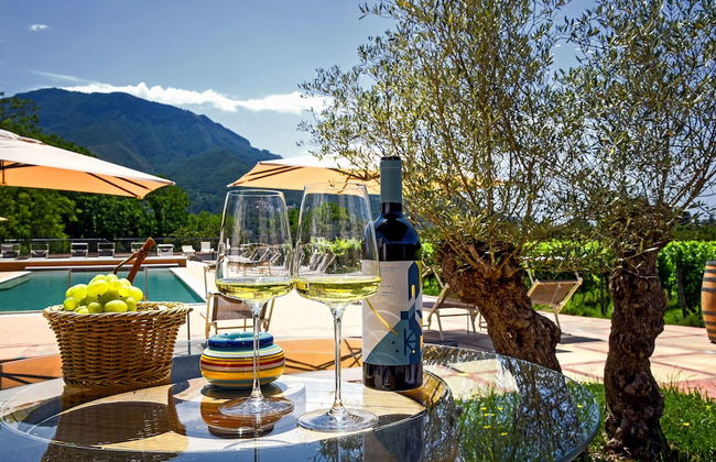 Agriturismo Guerritore - Foto 23