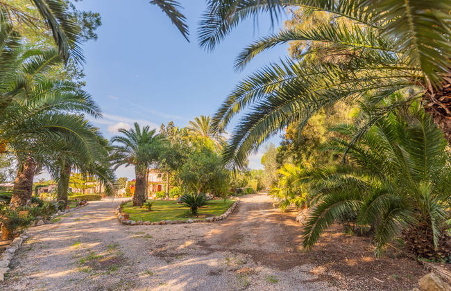 Ses Sitjoles - Foto 46