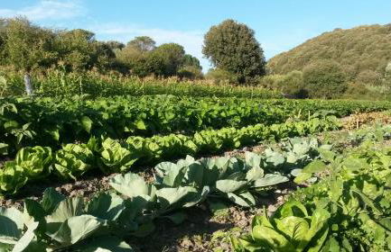 Country Living School - Foto 6