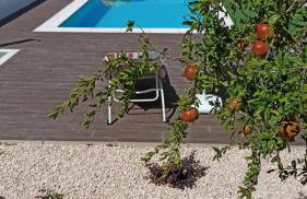 Casa do Chão do Cruzeiro - Foto 19