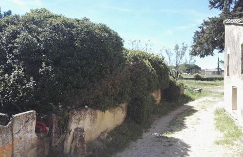 Mas de "La Garcine" - Foto 28