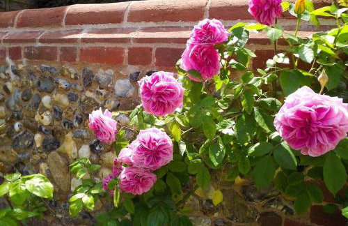 Romney, a cosy Victorian cottage in a picturesque Suffolk village - Foto 35