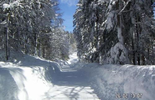 Apartment Haus Hinterseer by Interhome - Foto 19