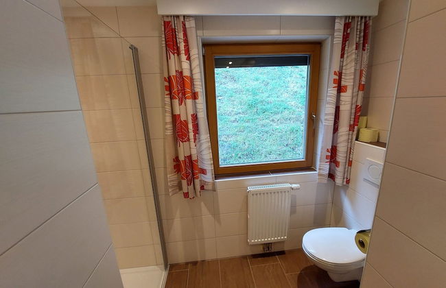 Apart Frühstückspension Stark Paznaun - Foto 61