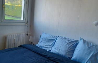 Bleu d'Arques Appartement lumineux et calme - Foto 4