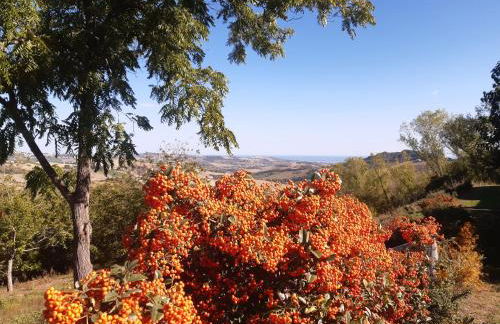 mansio maritima - Foto 36