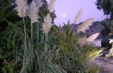 Manuel suites - Foto 17