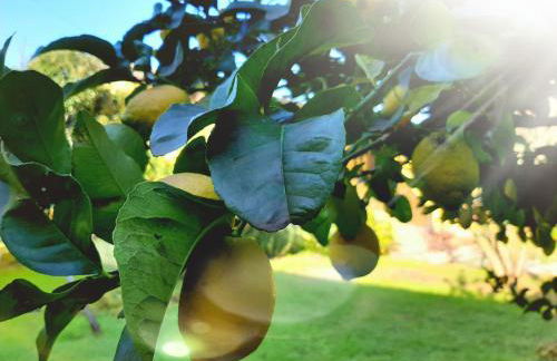 Agriturismo Podere Bedin - Foto 2