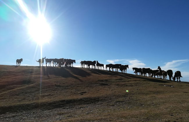 Hillside Villa With Swimming Pool and Jacuzzi - Frasassi Caves - Foto 30