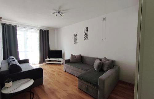 SDH 3 Wolomin comfortable apartment near Warsaw - Foto 3