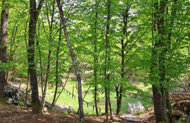 Guest house Mihovil - Foto 27