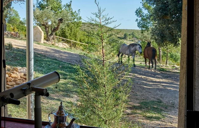 Masia Heredad La Boquilla - Foto 41