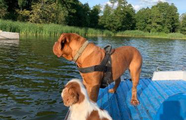 Domki na wodzie Warmińskie Pompeje - Foto 24