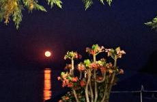 Zakros View - Foto 22