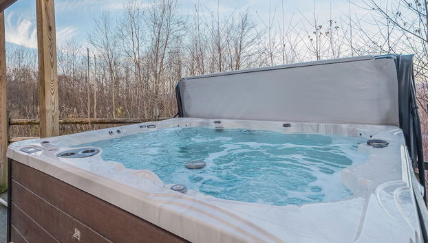 Servizio della struttura