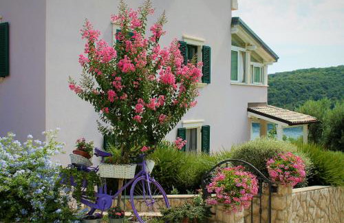 Apartmani Klaudija - Foto 62