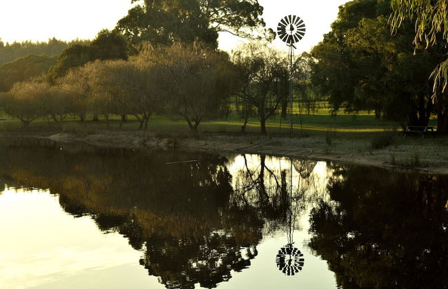 Diamond Forest Farm Stay - Foto 44