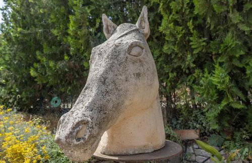 El Paller de Cal Maso - Photo 20