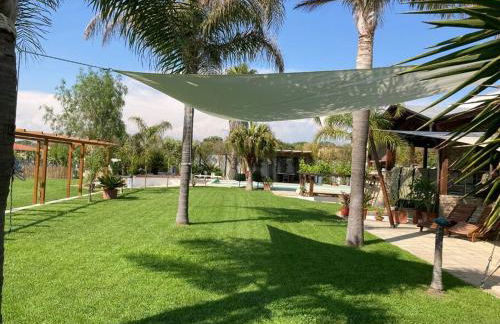 The Bamboo villa - Fraschetti Daniele - Foto 28