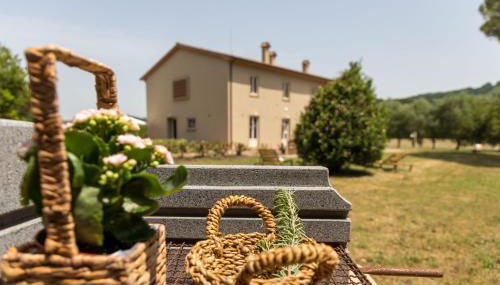 Agriturismo Sant Elmira - Relax with external Jacuzzi - Foto 4, Garden