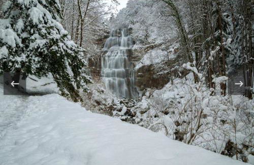 la champagnolaise - Foto 32