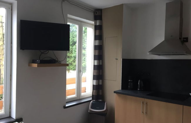 Appartements bon Secours - Foto 26