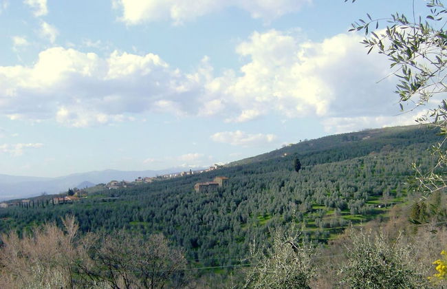 Sunlit Home With Pool - Foto 38