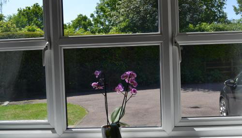 Beautiful studio in Ely - Photo 2, Garden view