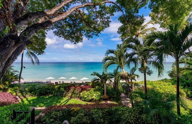 Coral Cove 5 - Condo Shutters - Foto 15