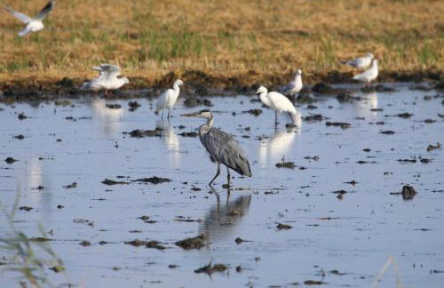 Vistas al mar - Foto 24