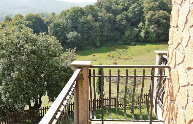 Agriturismo La Rocca dei Briganti - Foto 29