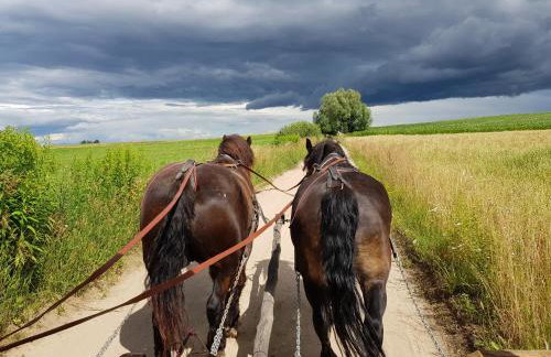 Apartament Wiejska Sielanka - Photo 34